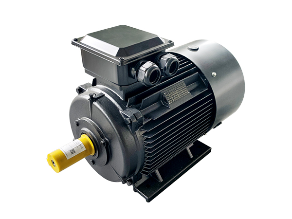 風(fēng)冷永磁同步電機(jī)